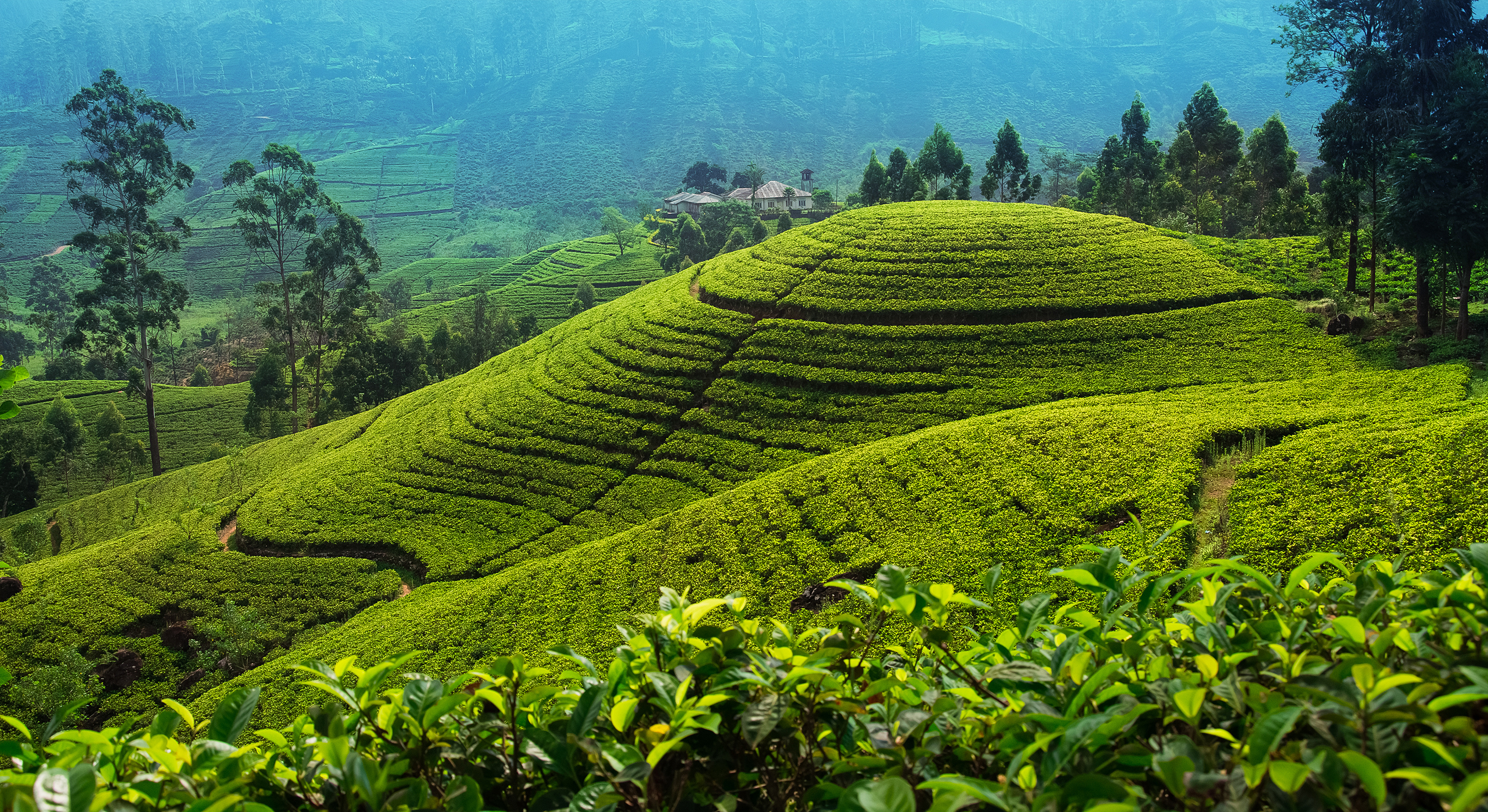 The First-Timer's Complete Guide to Sri Lanka