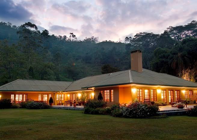 Sunrise Tea Estate